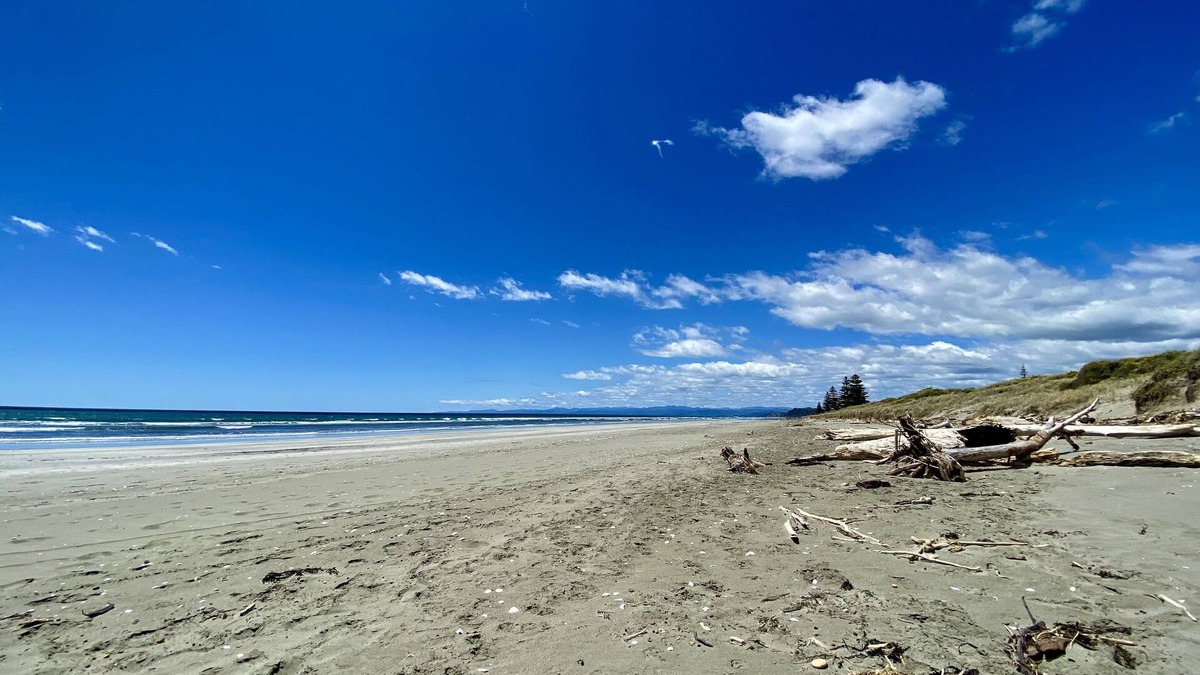 Ohope House | Oystercatcher Bach