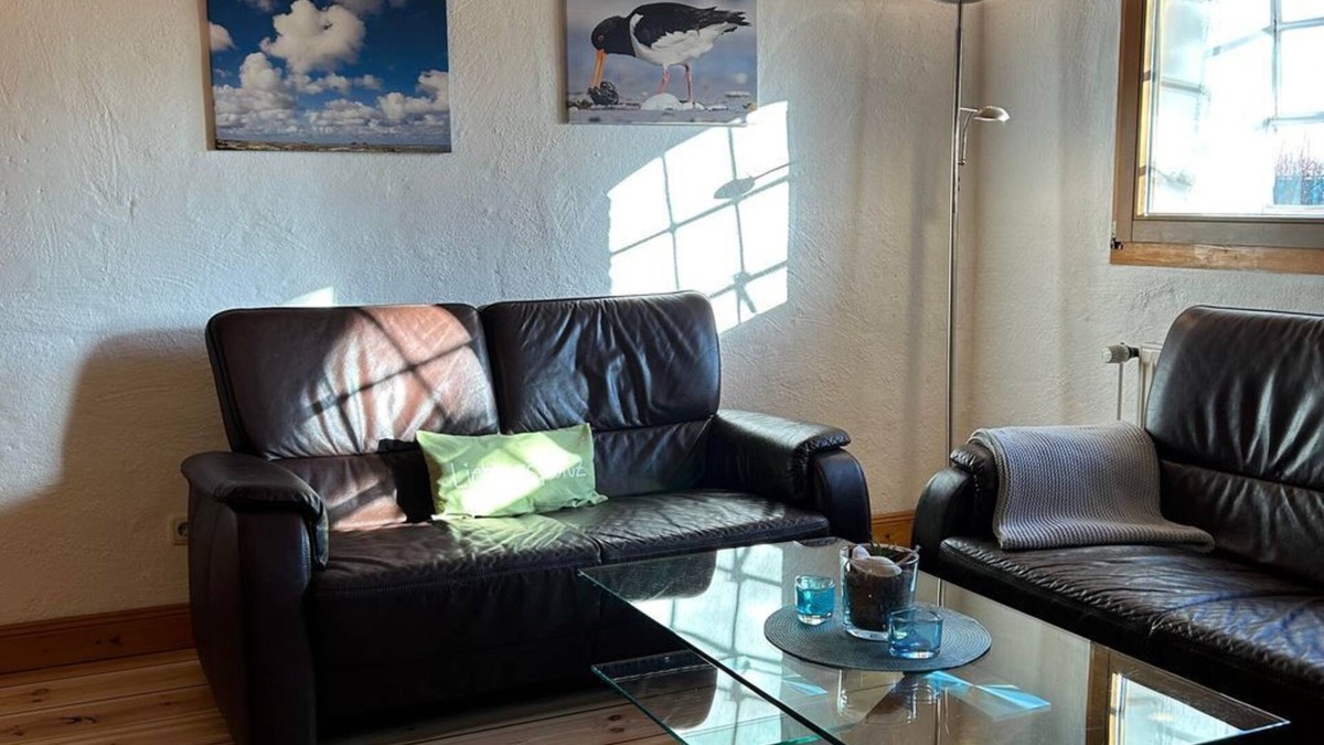 Vollerwiek Cottage | Oystercatcher - hoarfrost on the sea
