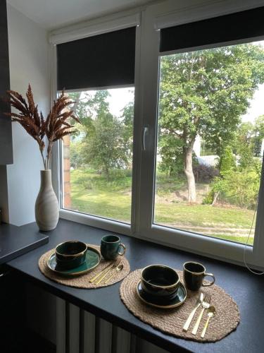 Jekabpils Apartment | OzolApart