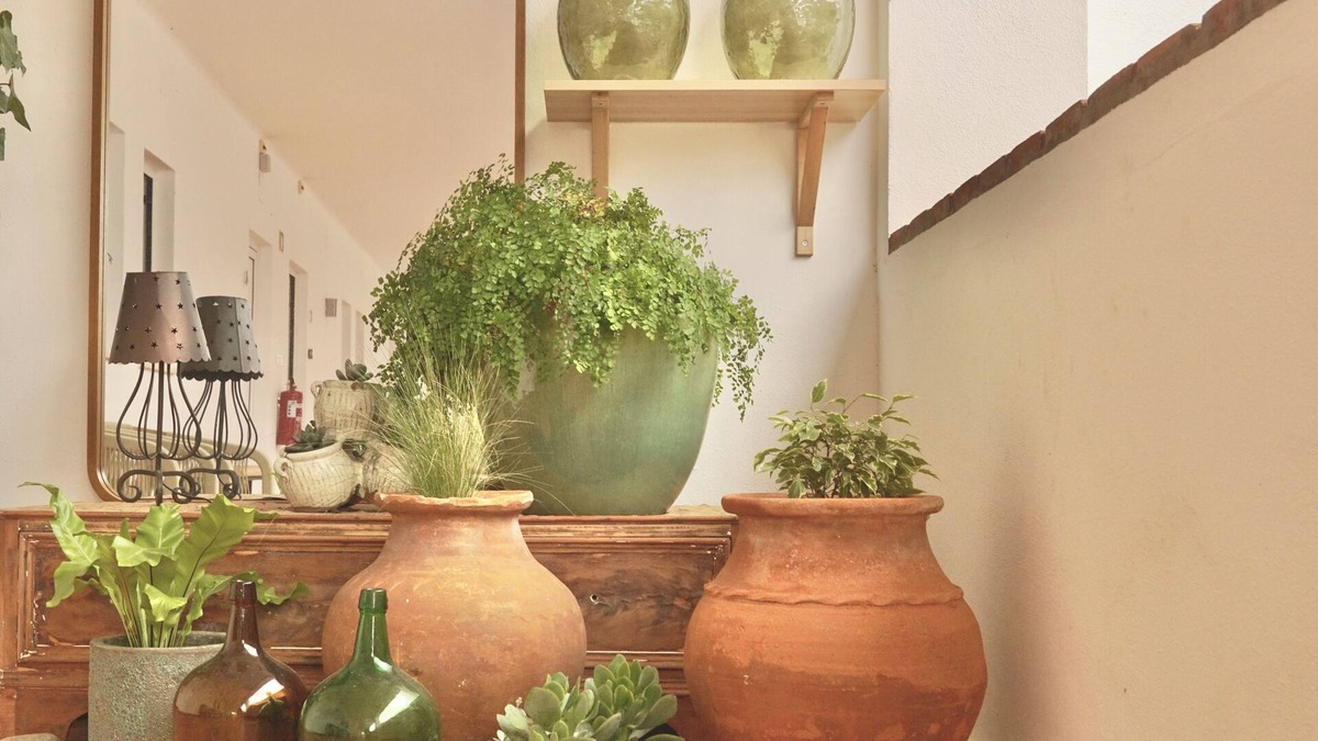 Almeirim House | Pátio das Ribeiras