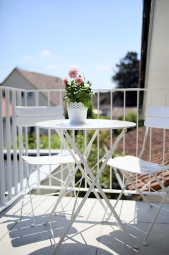 Bad Waldsee Apartment | P-Hosting Kitten Manor im Kurort Bad Waldsee