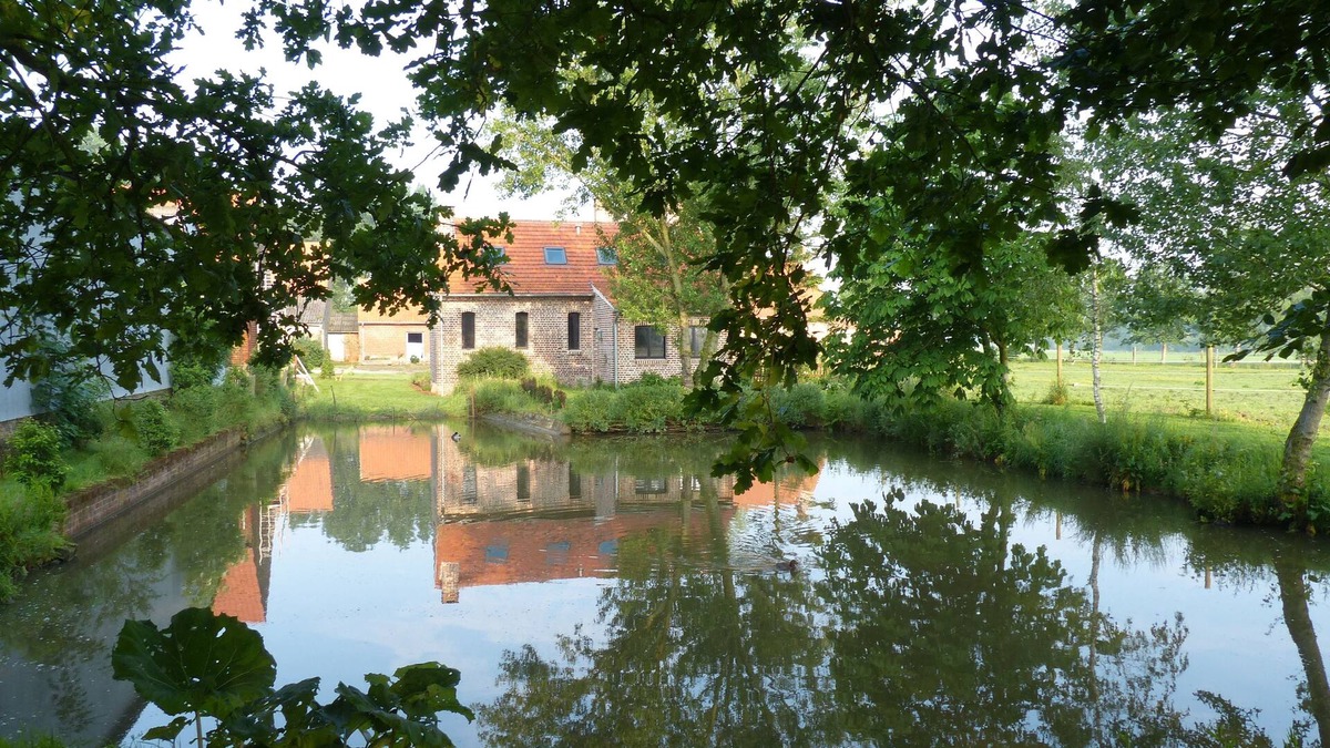 Esquelbecq House | Paardenhof Guesthouse