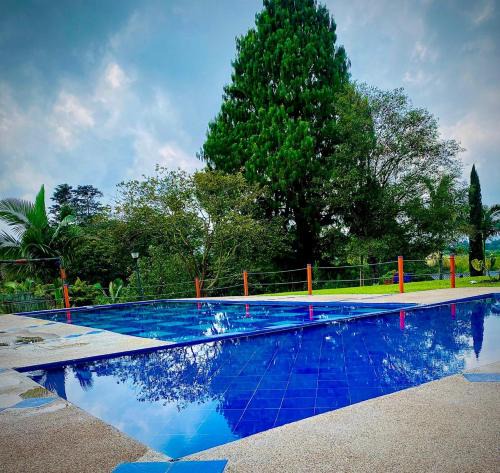 Filandia Hotel | Paisaje Cafetero Hotel Con Piscina y desayuno - Filandia