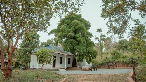 Talipparamba House | Paithal village Homestay