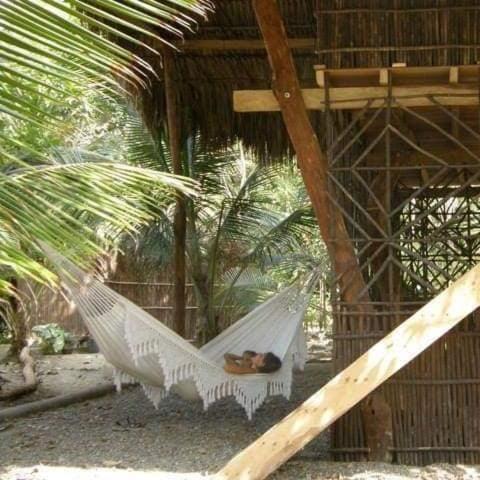 Monitos House | Pajarito Eco-Lodge frente al mar