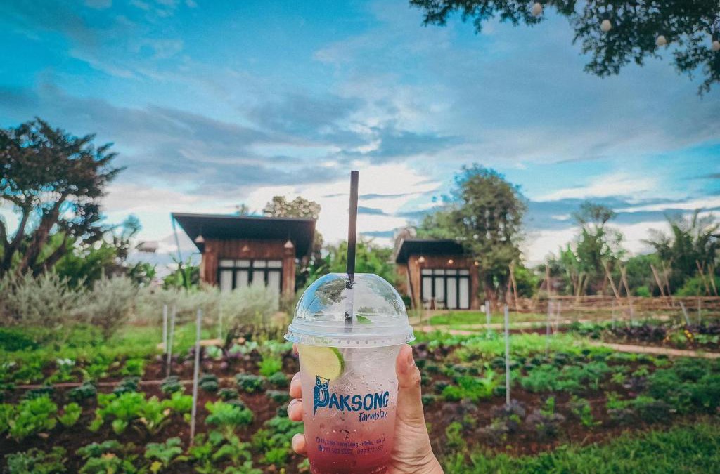 Pleiku House | Paksong Farmstay Gia Lai