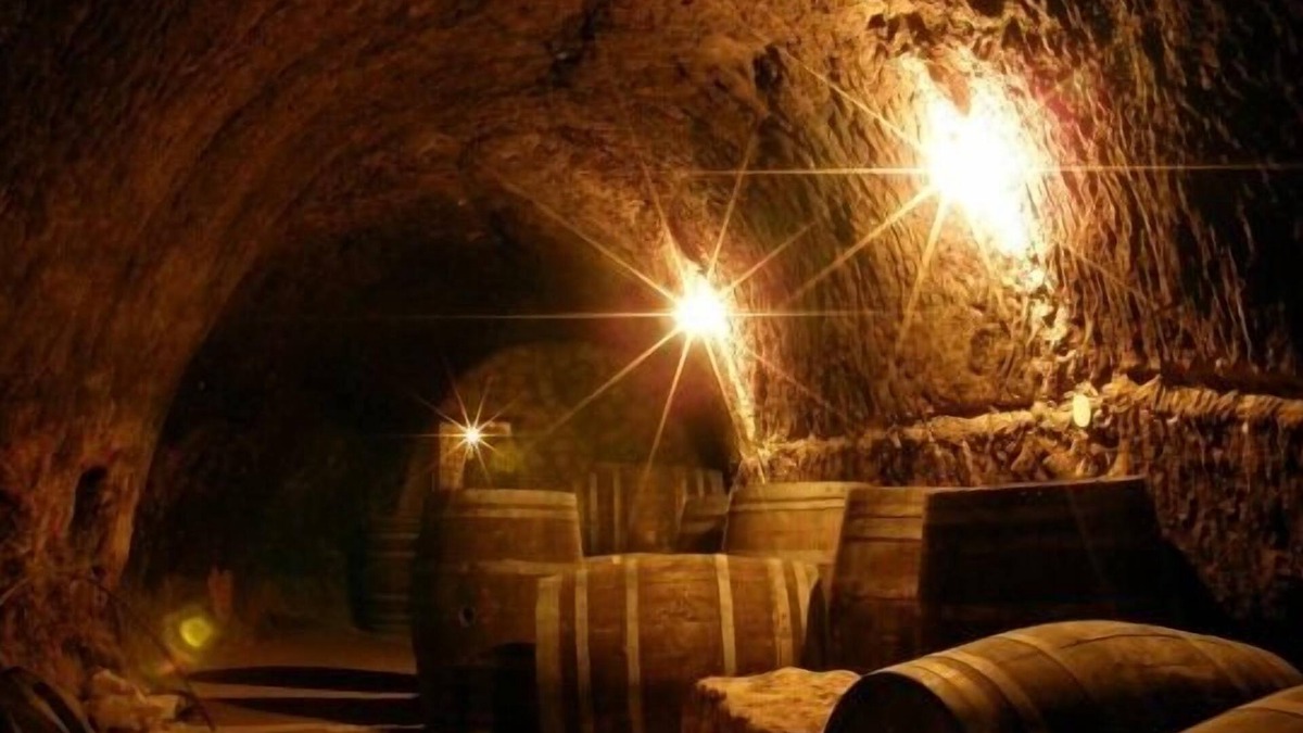 Sotillo de la Ribera Cottage | Palacio de Los Serrano - Casa Rural for 16 people