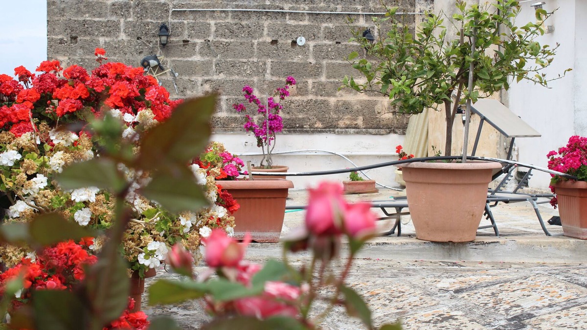 Centro Storico Apartment | - Palazzo Retrò, with a terrace overlooking the historic center of Nardò -