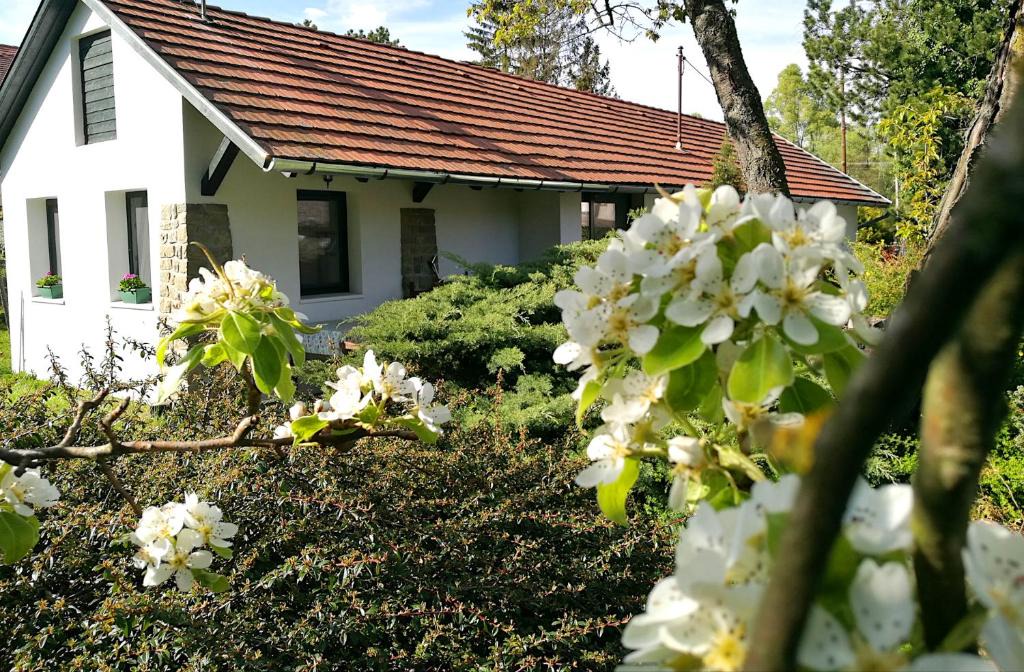 Szentendrei House | Palkovics vendégház Dunabogdány