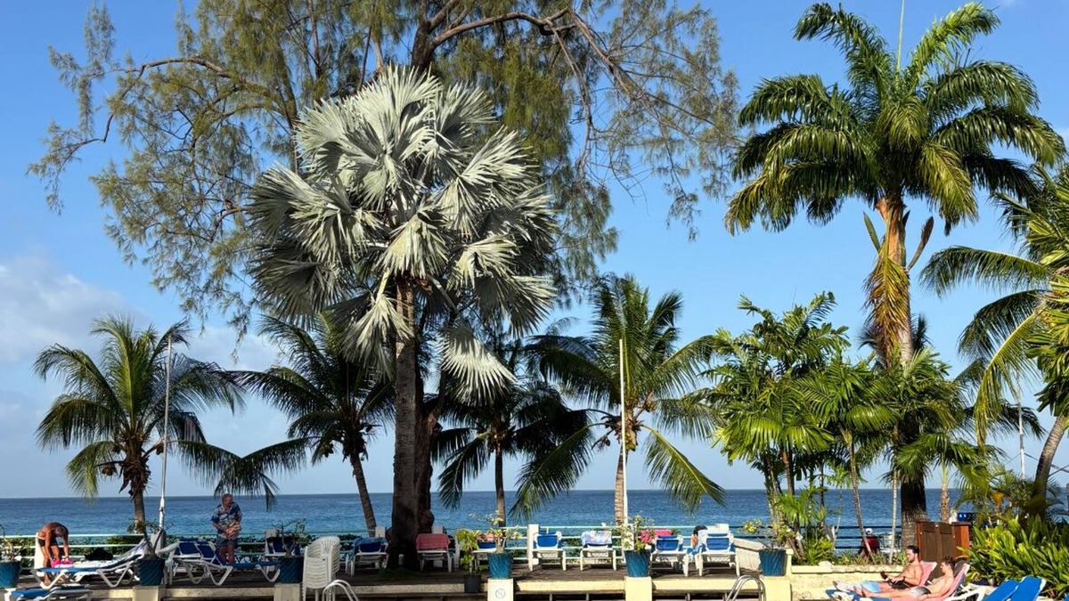 Sunset Crest Cottage | Palm Cottage - Sunset Crest, close to the beach and swimming pool