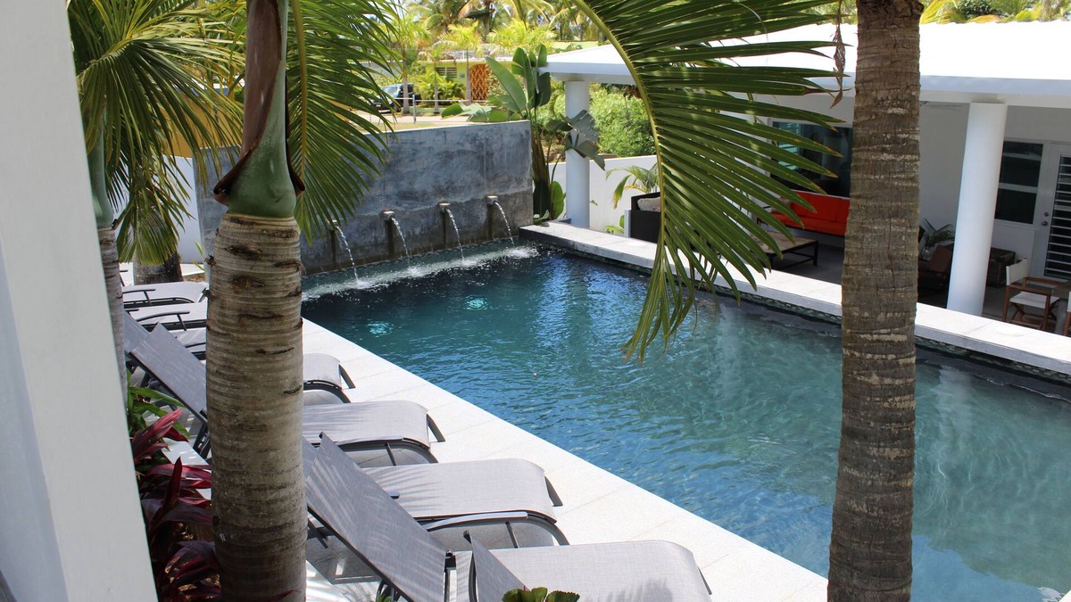 Bravos de Boston House | Palm Cottages - The Pool Cottage - LUSH TROPICAL PARADISE