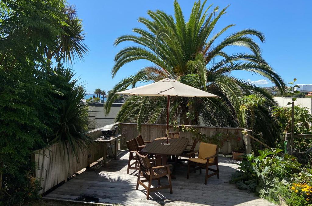 St. Heliers Apartment | Palm Garden Apartment