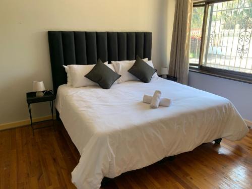 South Durban Hotel | Palm Haven on Sarnia