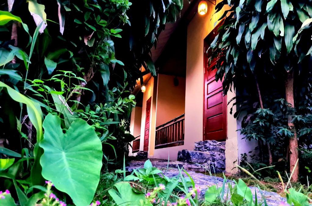 Ha Giang House | Palm Hill Chalet