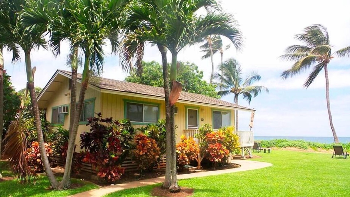 Paia House | Palm Maui County permit STPH 20130018