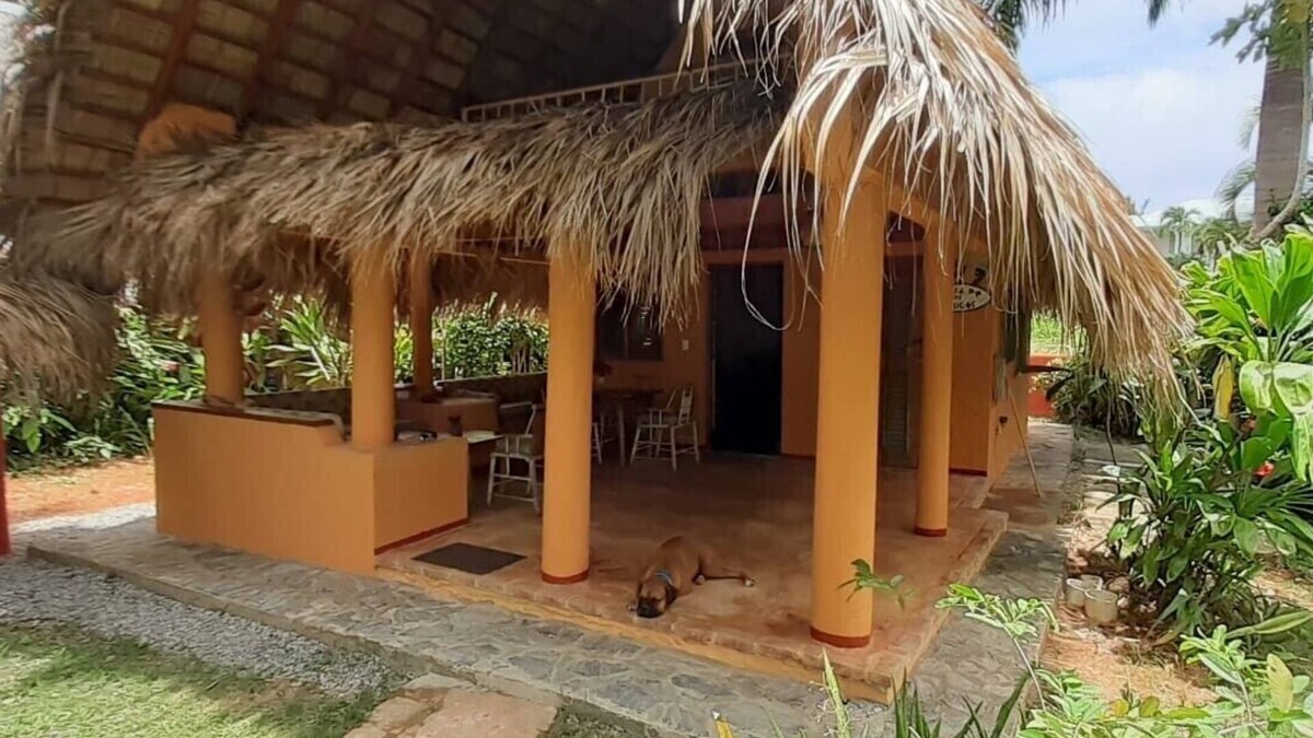 Las Galeras House | Palm-roofed house in the second row to the sea