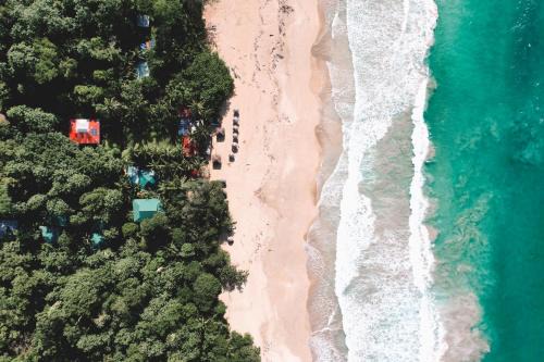 Isla Bastimentos Cabin | Palmar Beach Lodge
