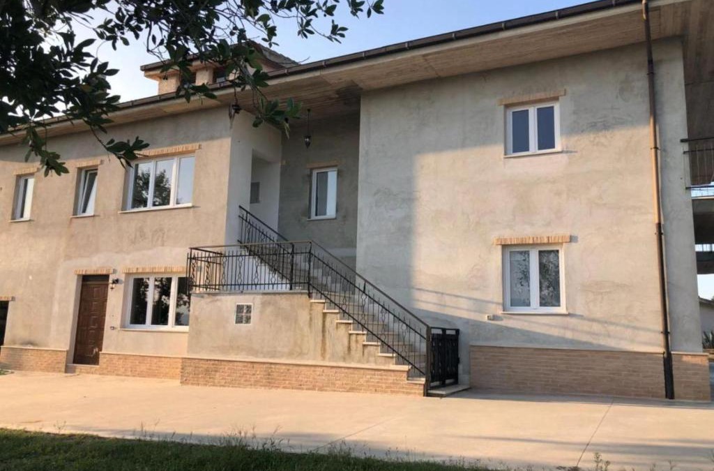Offida House | Palme e vigne