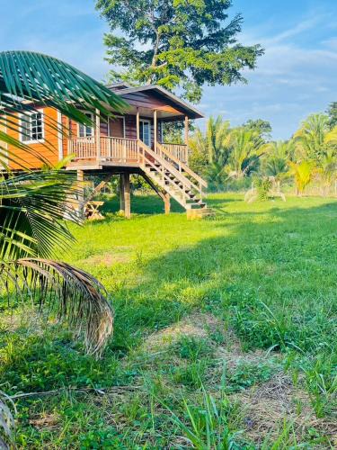 Jacinto Ville House | Palms & Paradise