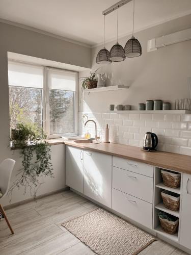 Regi Apartment | Palova Green