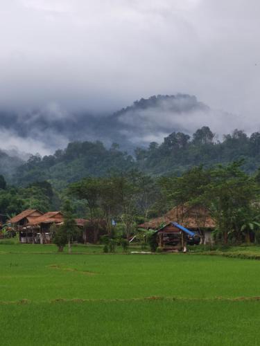 Bo Kluea Resort | PANAKLUEA Cottage & Crafts - พนาเกลือ