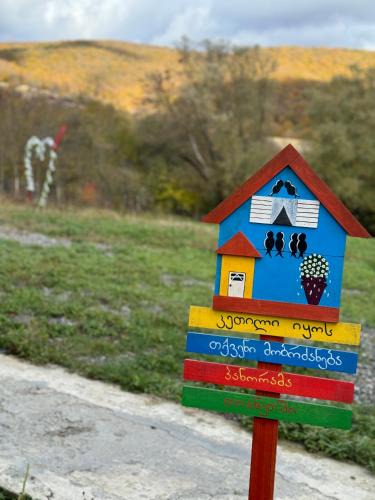 Vedzebi House | panorama tianeti