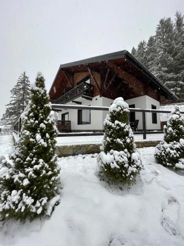 Slavske Ski Chalet | Panorama