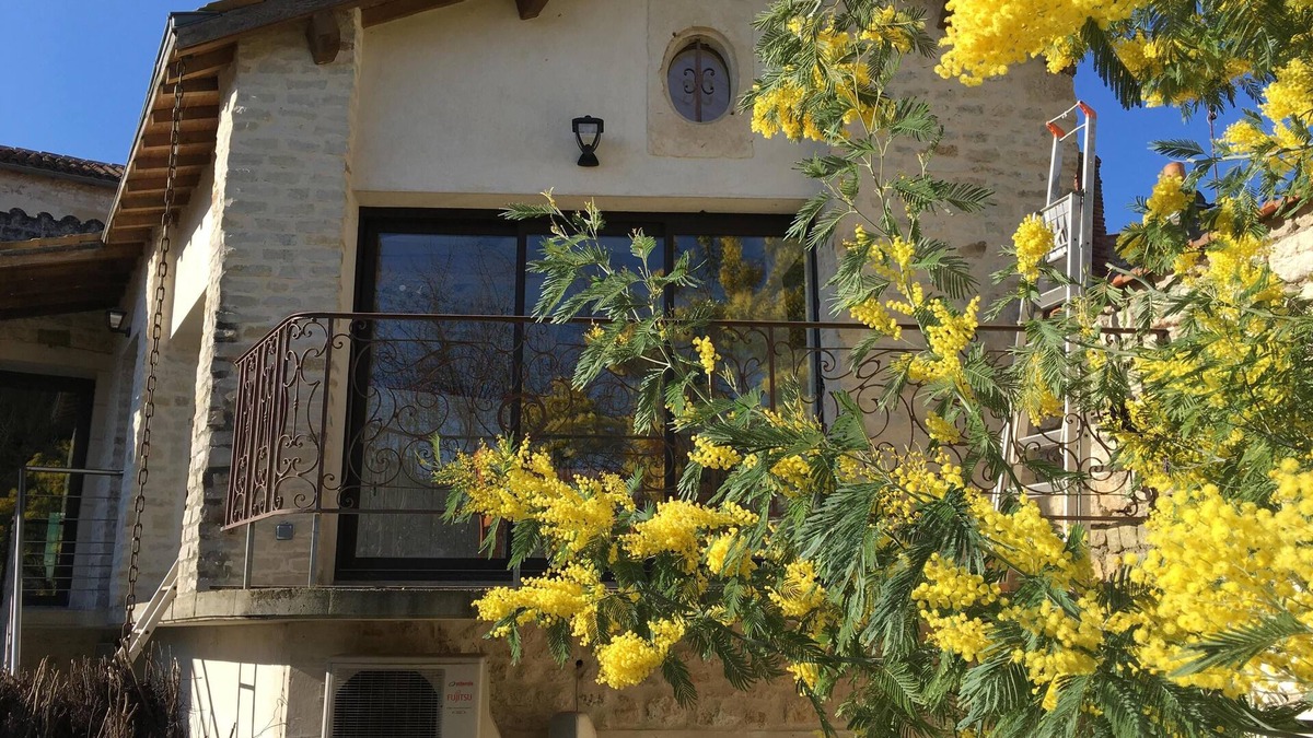 Fontenay-le-Comte Cottage | Panoramic cottage 'Oléron'