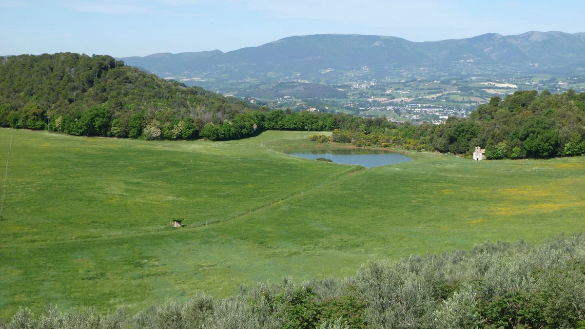 Spoleto Apartment | Panoramic holiday apartment Torre Colombaia 4+2 pax