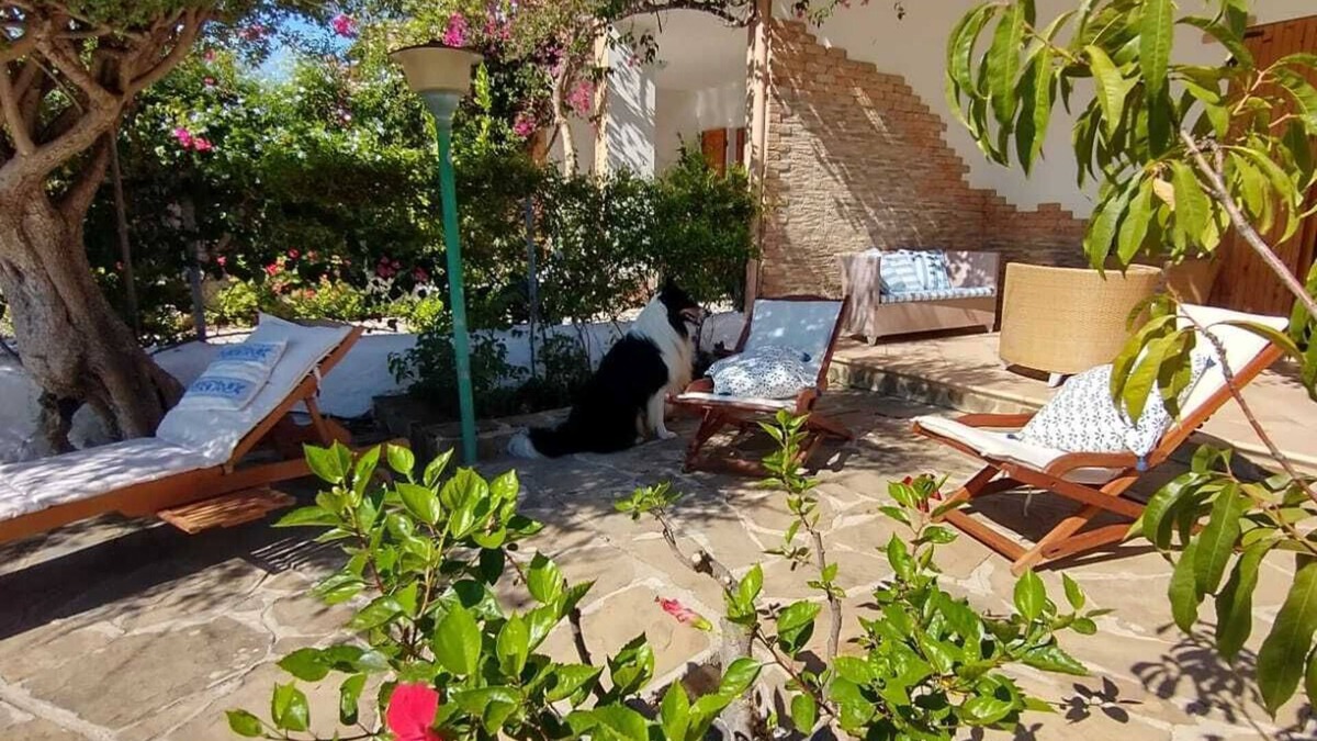 Cala Gonone Apartment | Panoramic, Independent by the sea direct access to the beach
