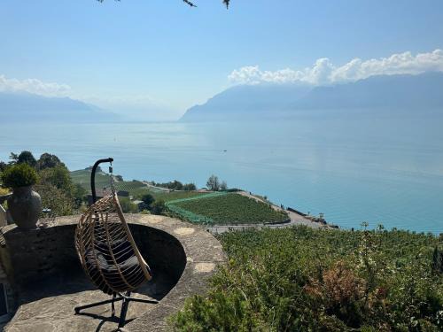 Puidoux House | Panoramic Room in the vineyard,stunning views of lake and Alps