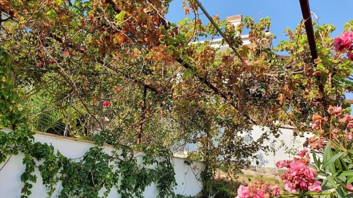 Gulluk Villa | Panoramic Seaview Villa in Bodrum Turkey