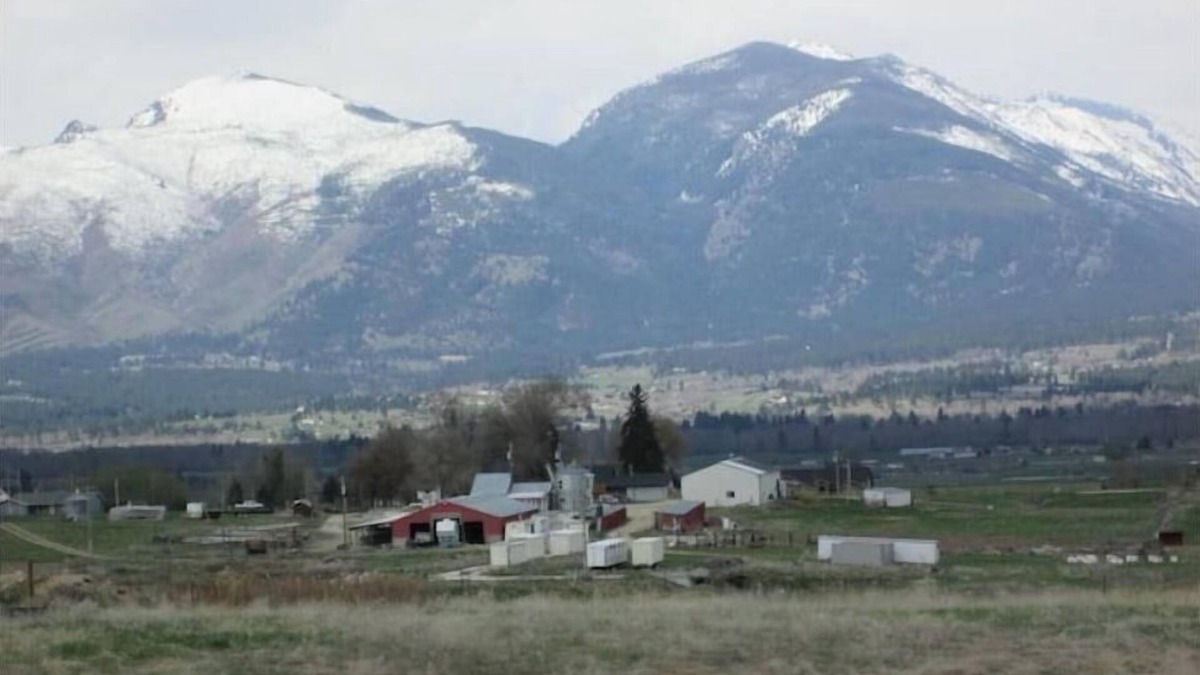 Corvallis House | Panoramic Views & Dog Heaven on the farm