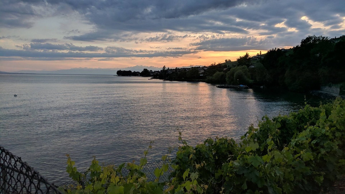 Bourg-en-Lavaux House | Panoramic views of the lake in the middle of the wine country