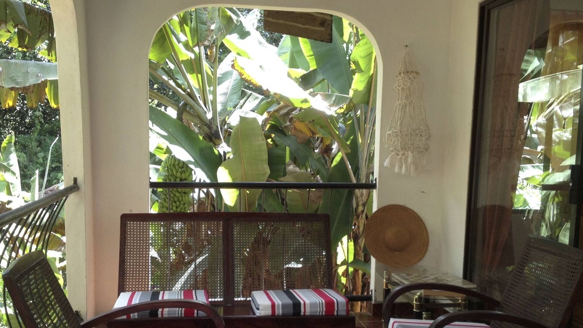 La Misere House | Papaya Guesthouse
