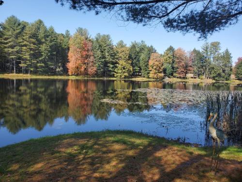 Huntington Mills Bed & Breakfast | Paper Mill Pines Bed and Breakfast