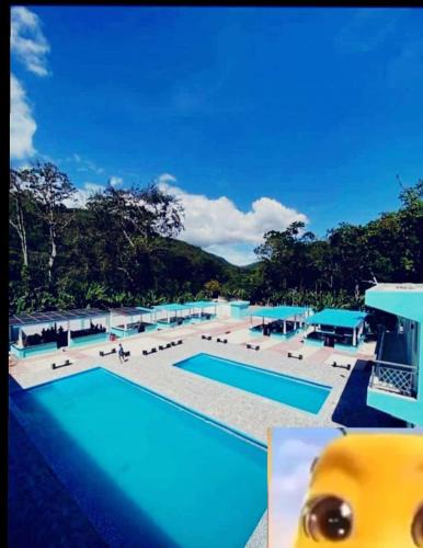 Polo Hotel | Paraíso Vacacional FERNANDO