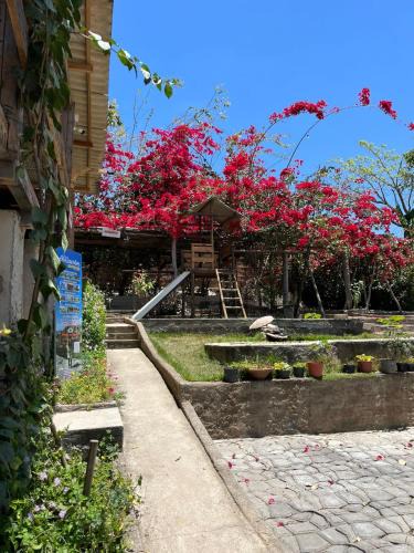 Monte das Gameleiras Apartment | Paradise Camp