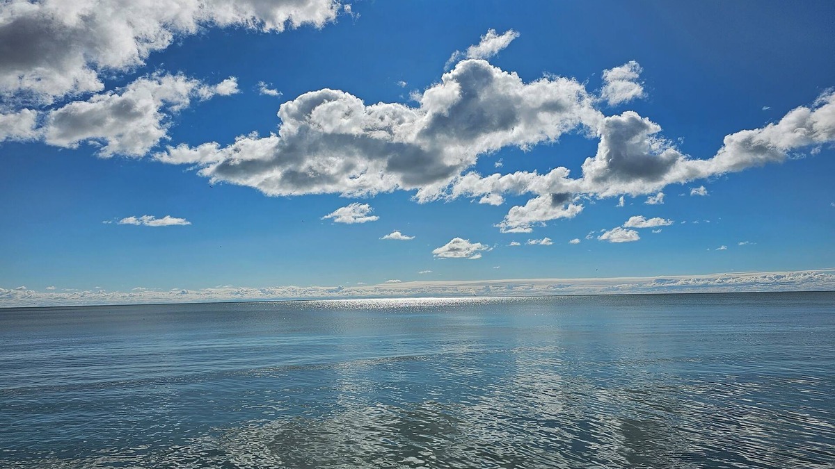 Michigan House | Paradise found in this charming 2-bedroom house on Lake Erie Waterfront