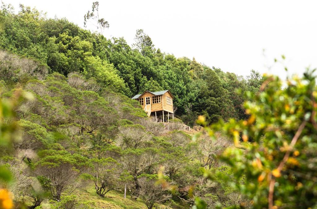 Choconta Other | Paradise Glamping