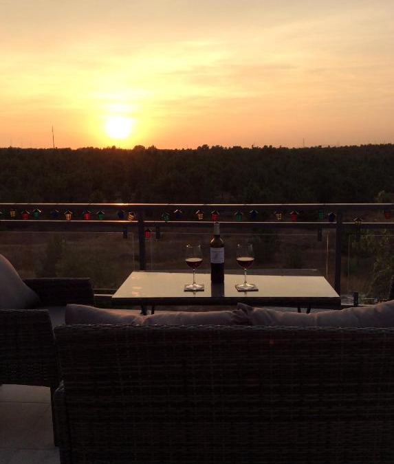 Quinta Do Conde Villa | Paradise Terrace House