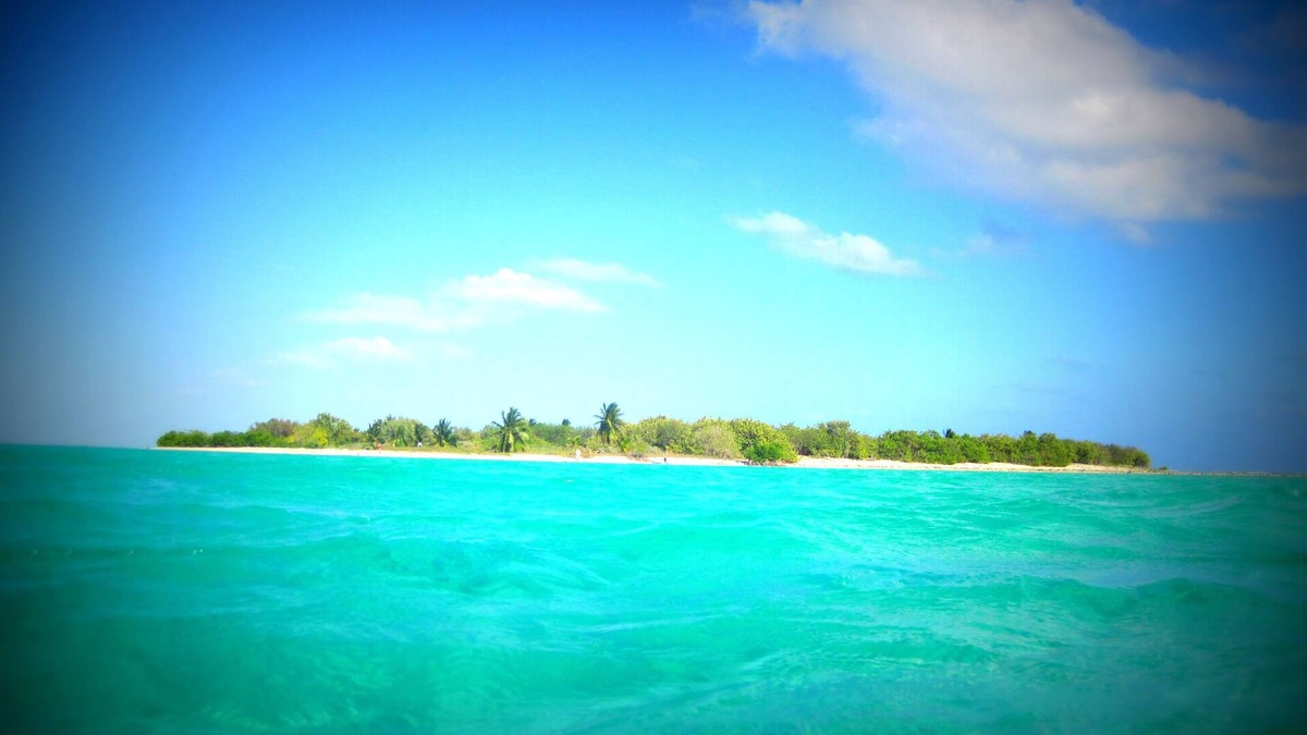 Blossom Village Villa | Paradise Villa's Little Cayman - Villa 10