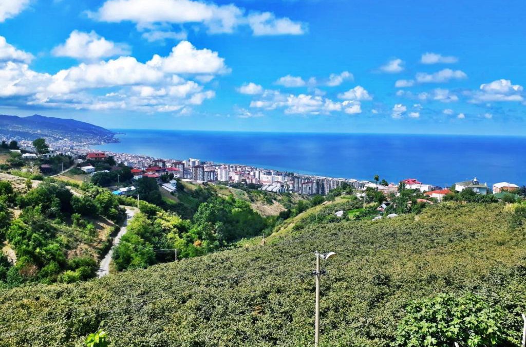 Akcaabat Villa | Paradise Villa Trabzon