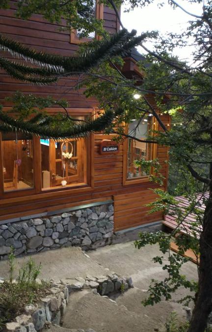 Moquehue Apartment | Parajes del Lejano Sur Cabaña El Calden