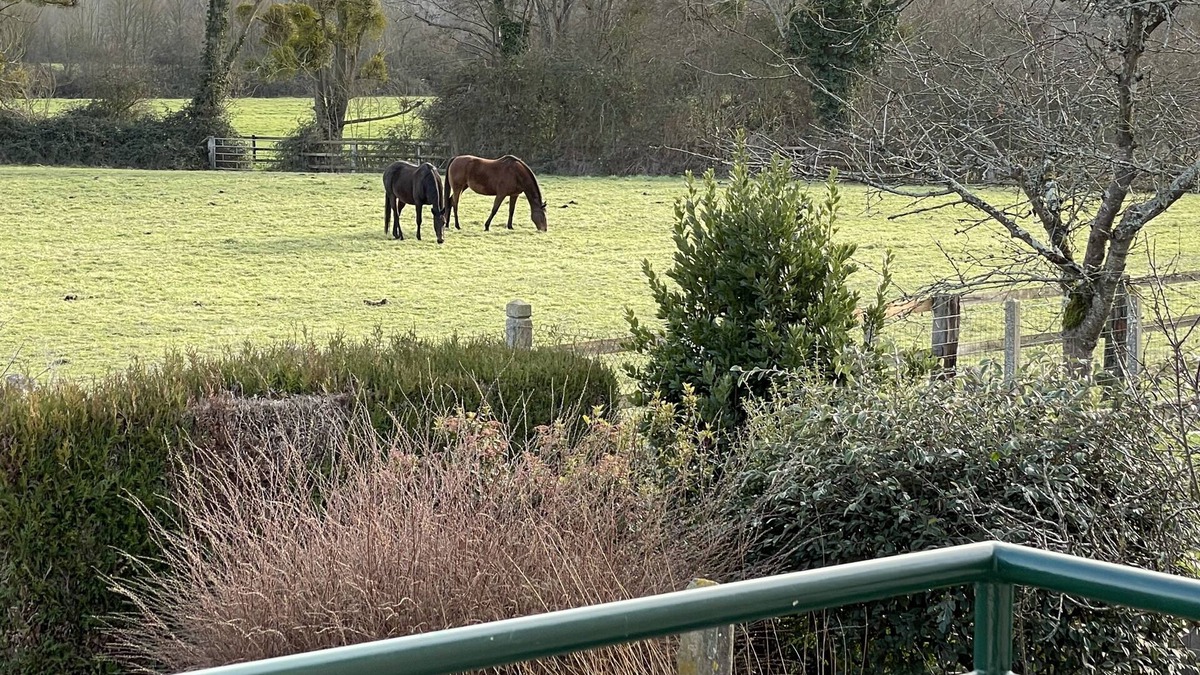 Conde-sur-Huisne House | Parc du PERCHE Orne -maison indépendante 4 personnes au cœur d'un village vivant