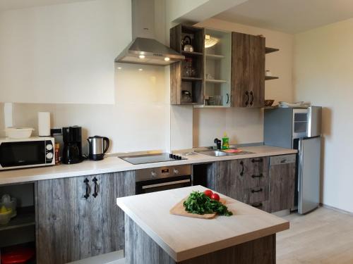 Spadici Apartment | Parentina apartment