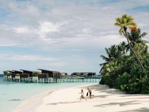 Hadahaa Resort | Park Hyatt Maldives Hadahaa