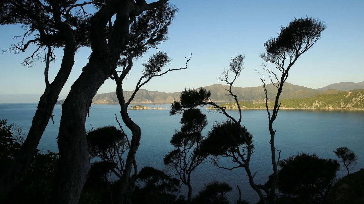 Waikawa Bay Other | Parklands Marina Holiday Park