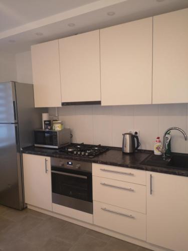 Panevezys Apartment | Parko apartamentai