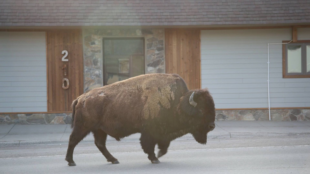 Gardiner Apartment | Parks Riverside A in Gardiner, MT North Entrance to Yellowstone